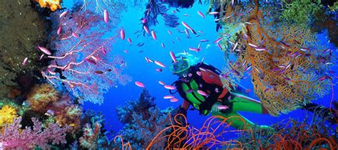Blue XT Sea Diving - Scuba Diving in Cozumel Mexico - Cozumel Dive Shops, Resorts & Restuarants