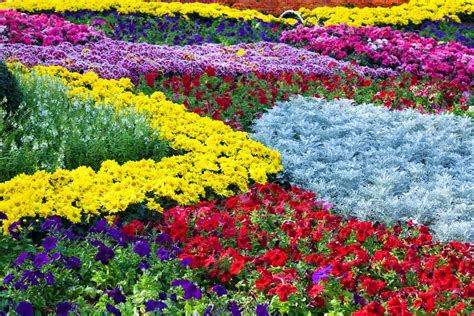 40 Colorful Garden Ideas (Color Explosion)