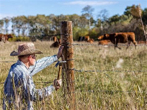 How to Build a Cattle Fence and Mistakes to Avoid - Wilco Farm Stores