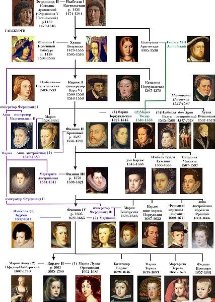 Habsburg Dynasty (abridged) Family Tree. | 16th Century Spain, Austria ...