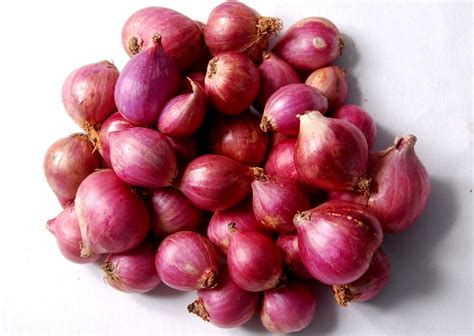 SMALL ONION SHALLOT products,India SMALL ONION SHALLOT supplier