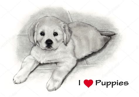 I Love (Heart) Puppies, Pencil Drawing — Stock Photo © joyart #5553318