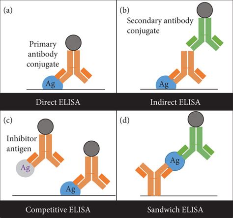 Types of ELISA. (a) Direct: an antigen is immobilized on the surface of ...