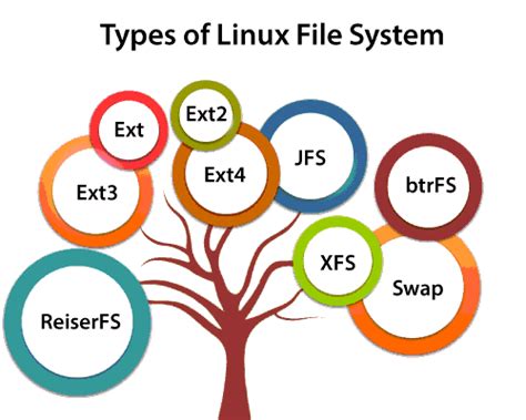 Linux File System - javatpoint