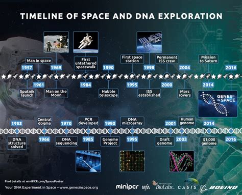 Space Exploration Timeline Infographic Layout Poster - vrogue.co