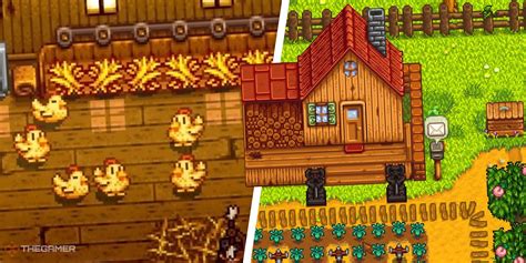 Stardew Valley: How To Get A Golden Chicken