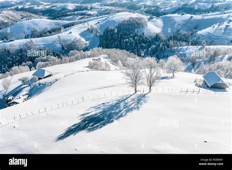 Christmas in Romania traditional landscape covered with snow Stock Photo - Alamy