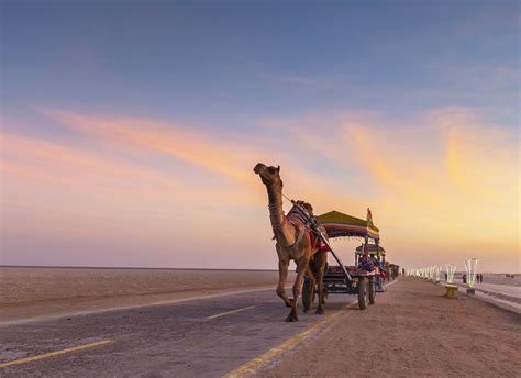 Witness the colors of Gujarat at Kutch Rann Utsav 2022-2023