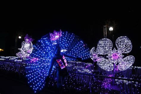 The Philadelphia Zoo LumiNature holiday 2022 light show - pennlive.com