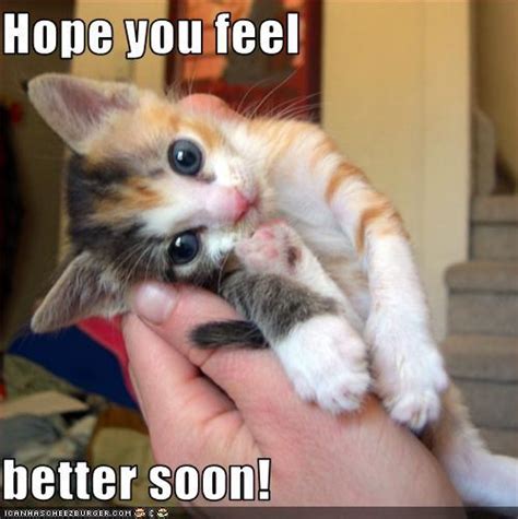 Hope You Feel Better Soon Quotes Cute Cats. QuotesGram