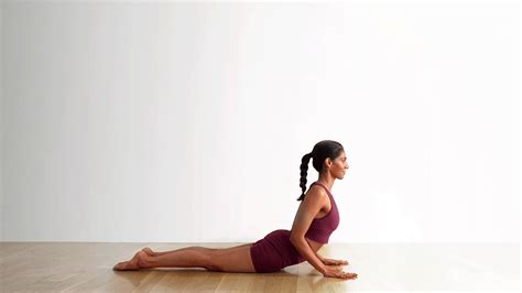 5 Essential Yoga Poses for Health and Wellness | Quizzop