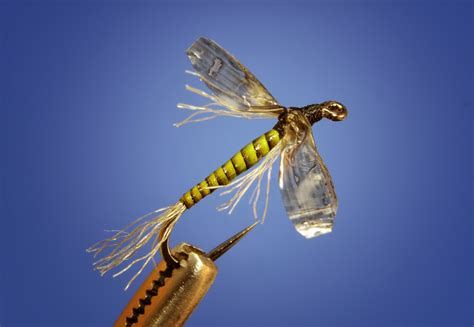 January is Midge Month - Fly Fish Food -- Fly Tying and Fly Fishing