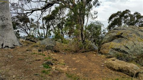 Mount Rogers Summit - Mount Rogers Reserve, Fraser ACT 2615, Australia