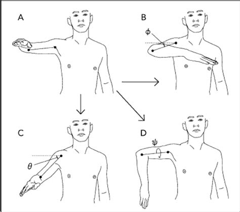 Description of Cardan angles in glenohumeral joint. A | Download ...