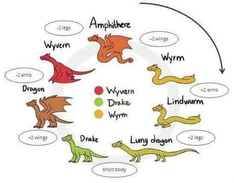 soorten draken | Dragon drawing, Types of dragons, Creature drawings