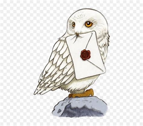 Harry Potter Owl Drawing , Transparent Cartoons - Harry Potter Hedwig Sticker, HD Png Download - vhv