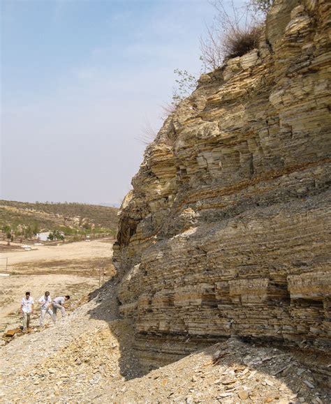 From China, A Flock Of Fossils - Science Friday