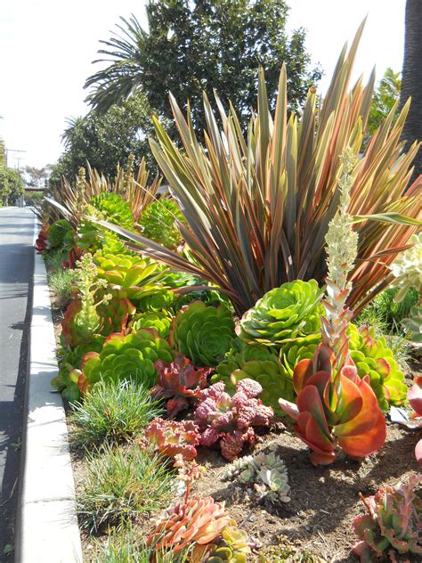 landscapelively.com | Succulent garden landscape, Succulent landscaping ...