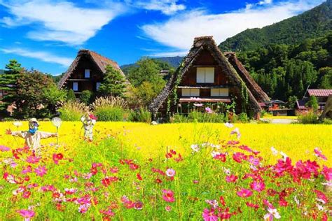 Nagoya: Shirakawa-go Village and Takayama UNESCO 1-Day Trip