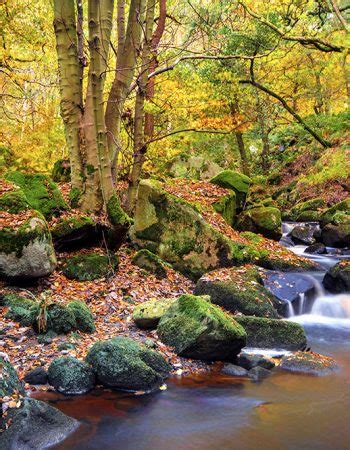 Waterfalls and Woodlands Photography Walk - Lets Go Peak District