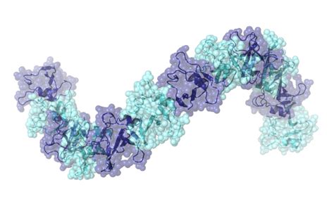 Protein polymerization preventing pathological aggregation | Swiss ...