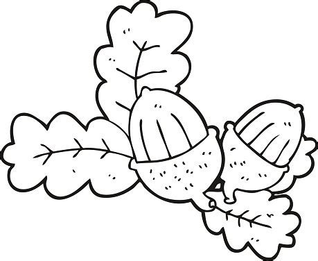 Black And White Cartoon Acorns And Leaves Stock Clipart | Royalty-Free | FreeImages