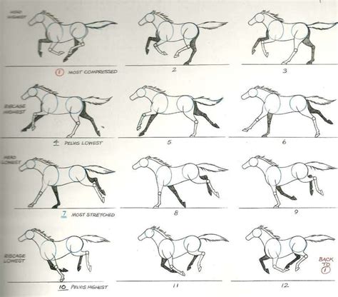 horse gallop | Horse animation, Horse art drawing, Horse drawings