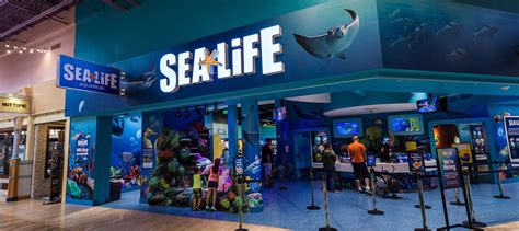 SEA LIFE Michigan Aquarium | Auburn Hills | Great Lakes Crossing Outlets