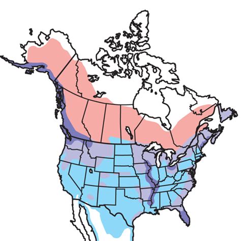 Bald Eagle Migration Map - Pacific Centered World Map