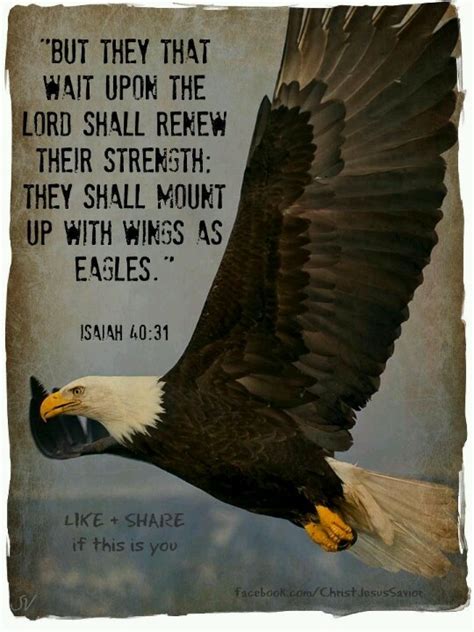 22 best Eagles images on Pinterest | Isaiah 40 31, Scripture verses and ...