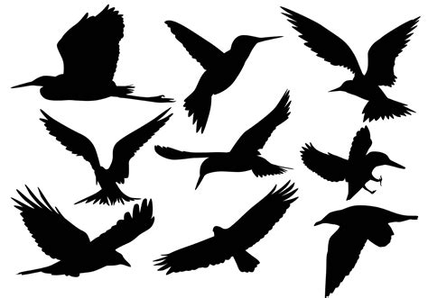 Simple Bird Silhouette at GetDrawings | Free download