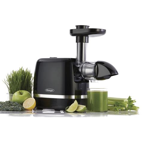 Omega Juicer H3000R Cold Press 365 Slow Masticating Juice Extractor ...