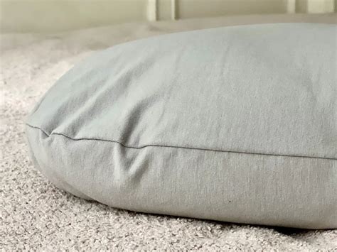 Moon Pod 4D Pillow Review (2023) | Non Biased Reviews