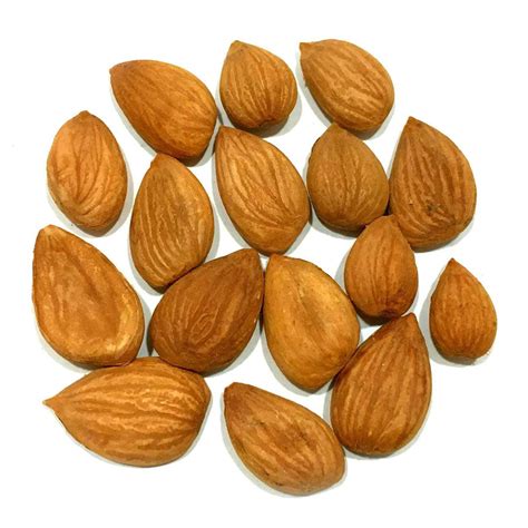 Apricot kernels - NY Spice Shop - Buy Apricot kernels Online