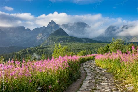 Hala Gąsienicowa, Tatry, Pejzaż Górski Stock Photo | Adobe Stock