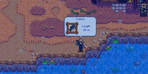 Catfish stardew valley - atilatribal