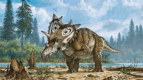 New horned dinosaur discovered