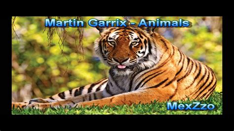 Martin Garrix - Animals (Speed up) - YouTube