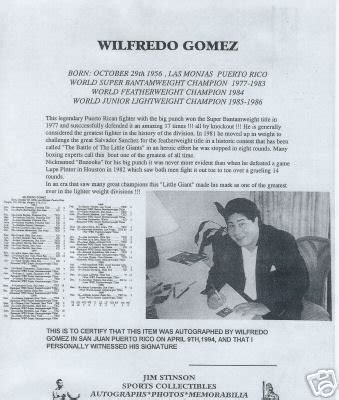 Boxing, Wilfredo Gomez Autographed 8x10, IN-PERSON | #22212592