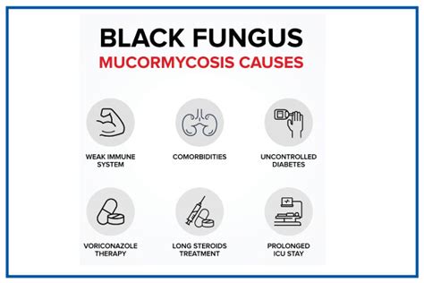 Black Fungus; Causes, Symptoms, Risks, Treatment