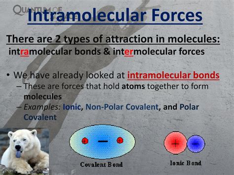 PPT - Intramolecular Forces vs Intermolecular Forces PowerPoint Presentation - ID:4099417