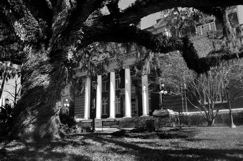 Hernando County Courthouse Photograph by David Lee Thompson - Fine Art ...