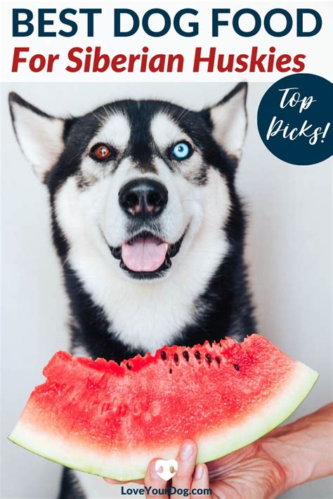 Best Dog Food For Siberian Huskies: Puppies, Adults, Seniors ...