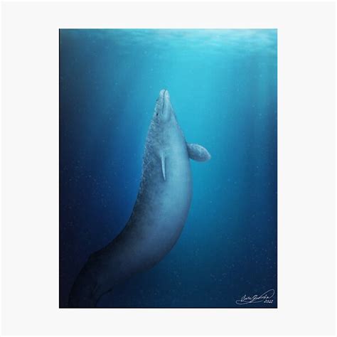 "Basilosaurus Prehistoric Whale" Photographic Print for Sale by saradrawspaleo | Redbubble