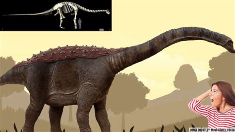 New Revelation with the Discovery of New Species of ‘Titanosaur’