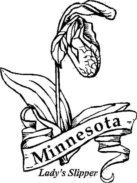 Minnesota Wild Coloring Pages at GetColorings.com | Free printable ...