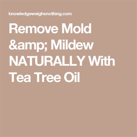 Remove Mold & Mildew NATURALLY With Tea Tree Oil Mildew Stains, Mildew ...