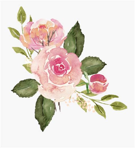 #watercolor #roses #flowers #floral #bouquet #pink - Watercolor Pink ...