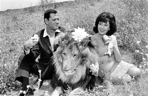 Fluffy (1965) - Turner Classic Movies