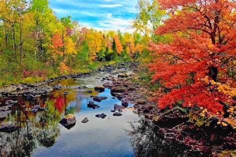 Take an Amazing Road Trip Through Maine in Fall | Trip, Maine road trip ...